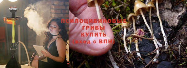 гидра Тобольск