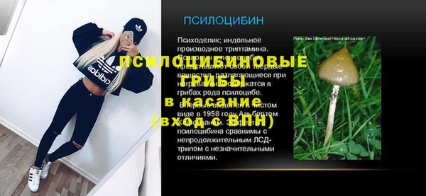 гидра Тобольск