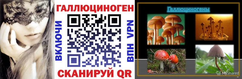 Галлюциногенные грибы Psilocybine cubensis  где можно купить наркотик  Шахты 